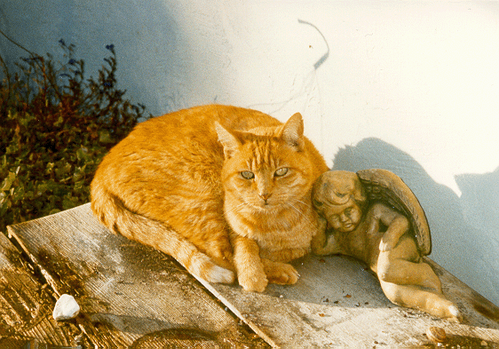 Bessie McCabe: 1987-2004