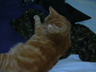 Cullen being... ummm.... helpful